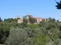 Populonia1