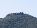 Populonia4