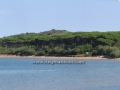 pineta_G.Baratti3