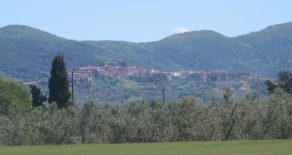 Case vacanze a Livorno e dintorni – Castagneto Carducci